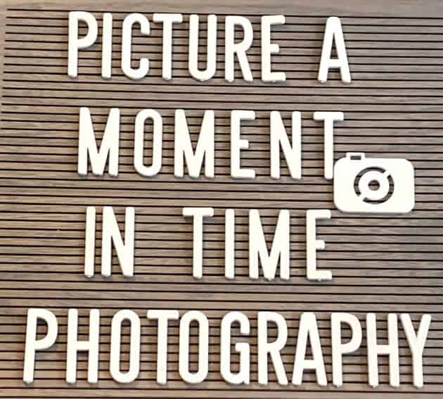 Picture A Moment in Time Picture A Moment in Time